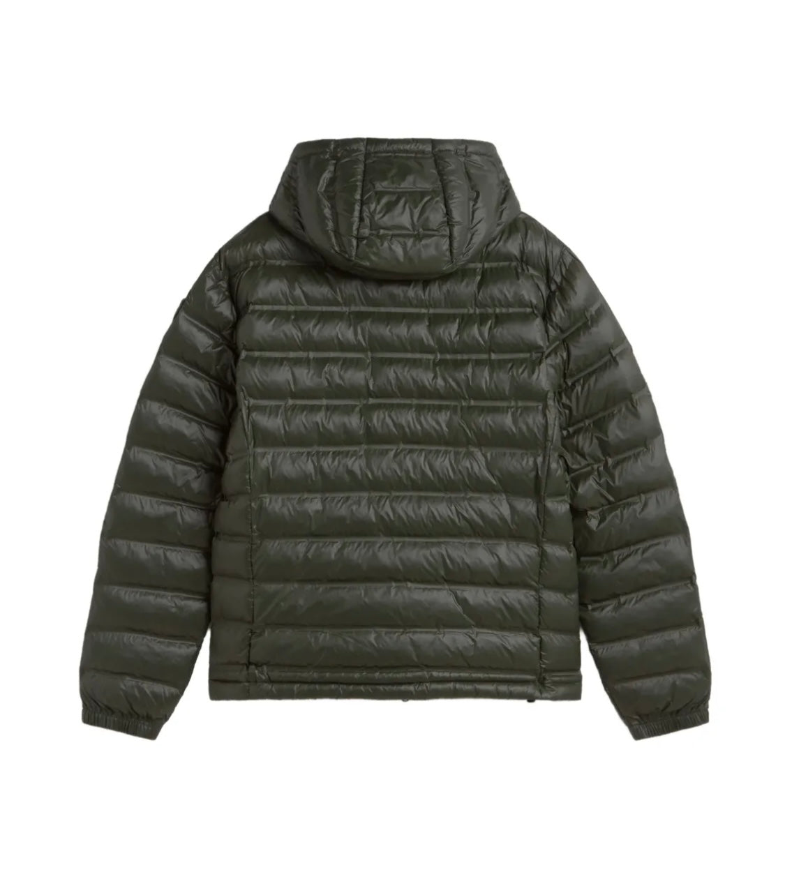 ALPENCHIC™ | BLAUER Herrenjacke, grün