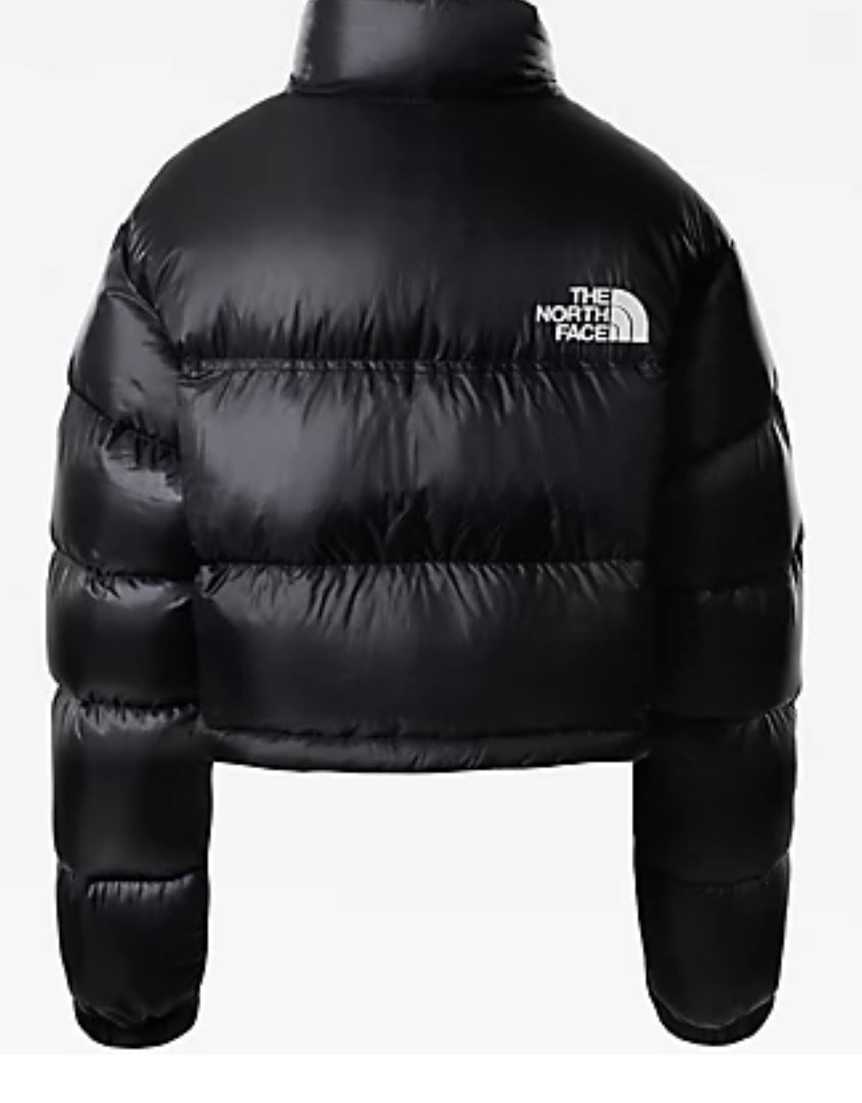 ALPENCHIC™ | THE NORTH FACE NUPTSE JACKE - SCHWARZ